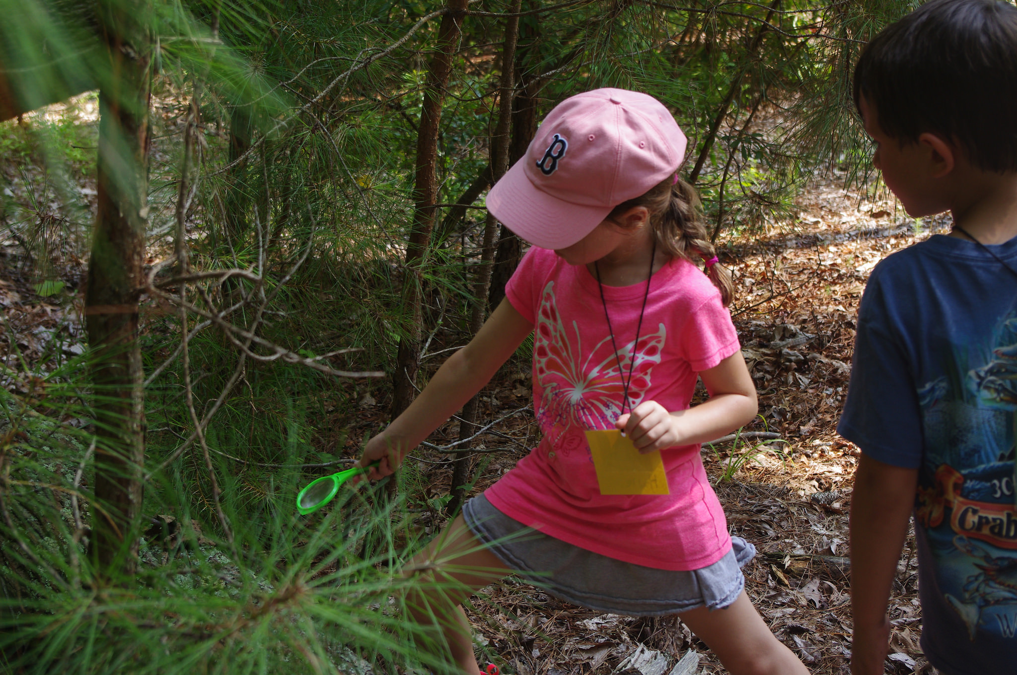 Virginia State Parks, flickr.com, CC BY 2.0