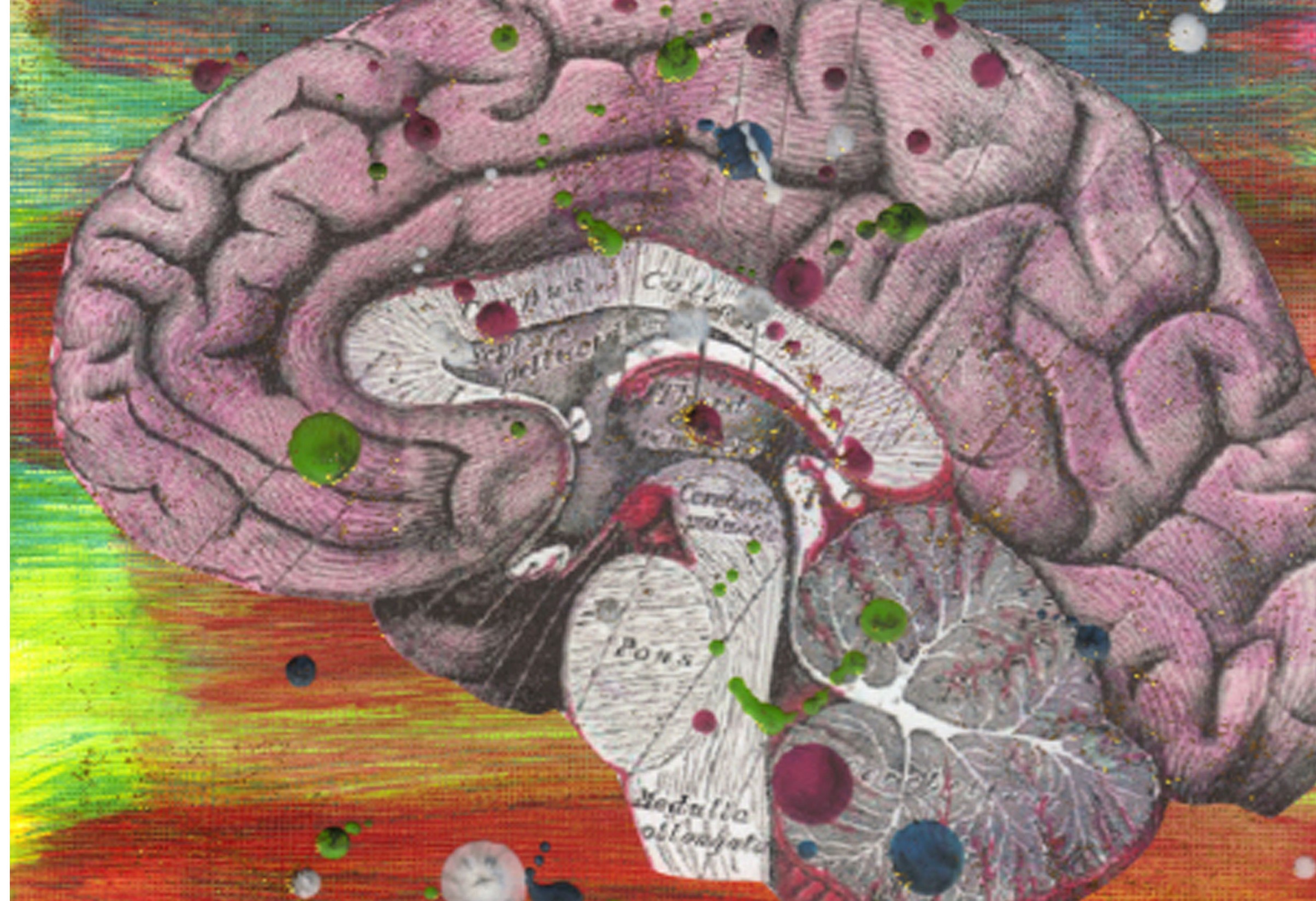 Soffie Hicks, flickr.com, CC BY 2.0