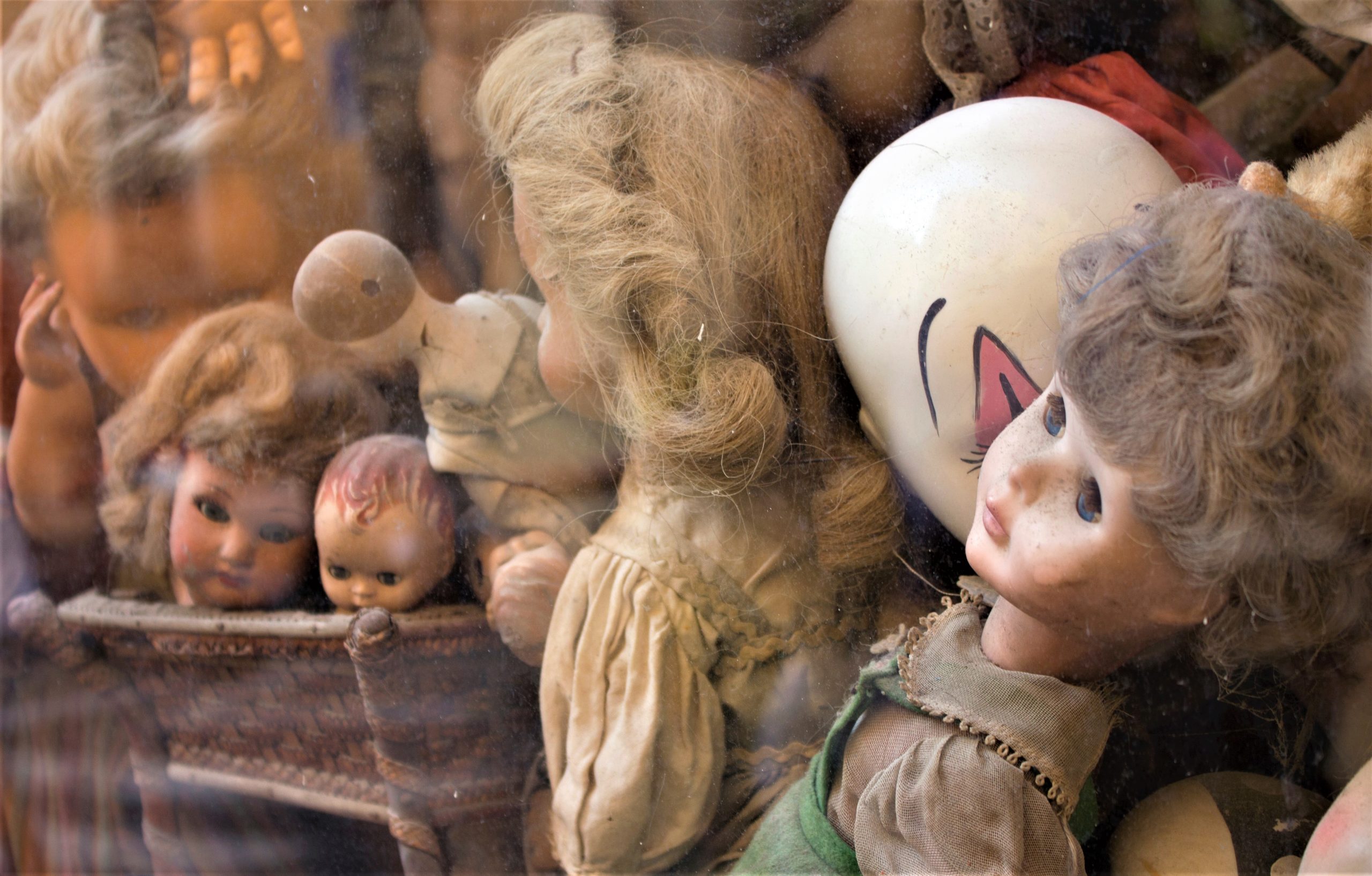 Photo by Jennifer Martin on Unsplash